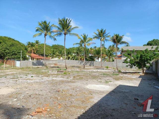 Terreno para Venda em Tibau do Sul - 4