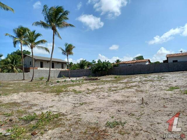 Terreno para Venda em Tibau do Sul - 5