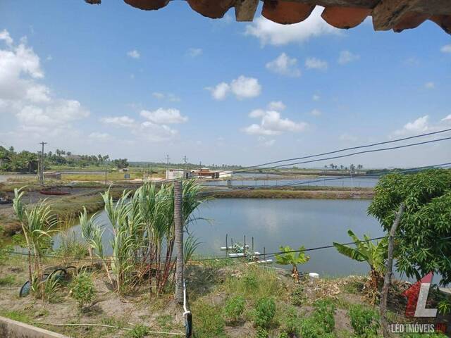 Sala para Venda em Tibau do Sul - 4