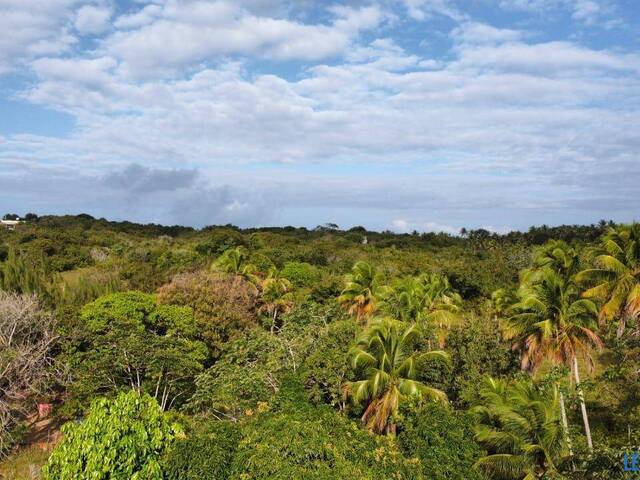 Terreno para Venda em Tibau do Sul - 5