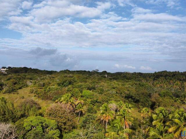 Terreno para Venda em Tibau do Sul - 4
