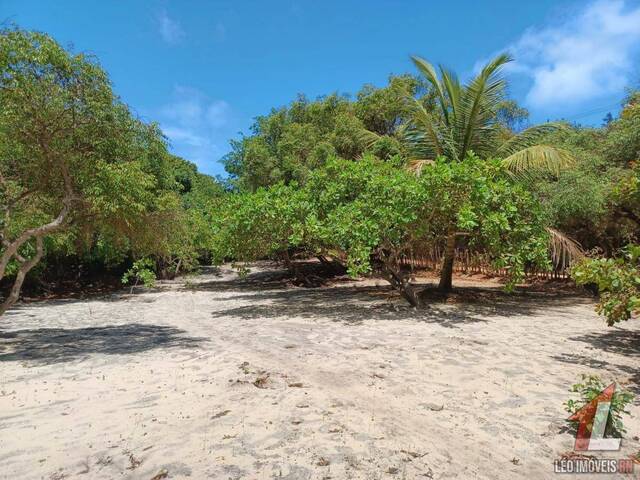 #T-353 - Terreno para Venda em Tibau do Sul - RN