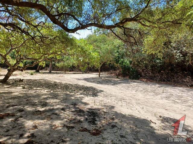 Terreno para Venda em Tibau do Sul - 5