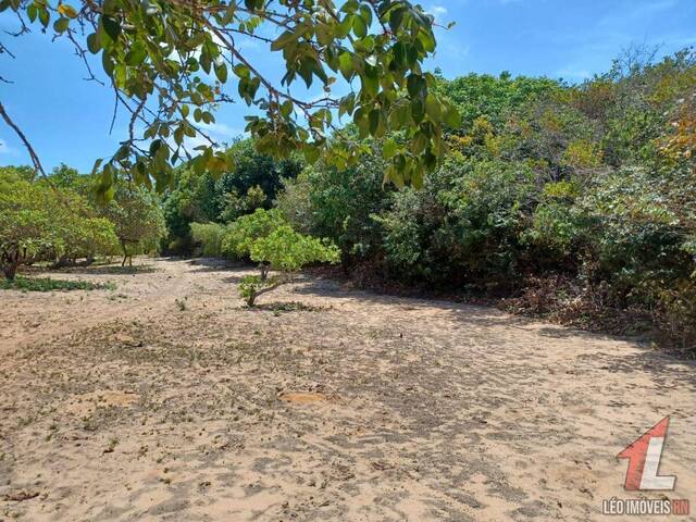 #T-353 - Terreno para Venda em Tibau do Sul - RN