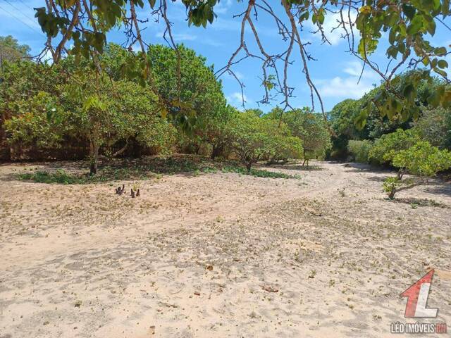 #T-353 - Terreno para Venda em Tibau do Sul - RN