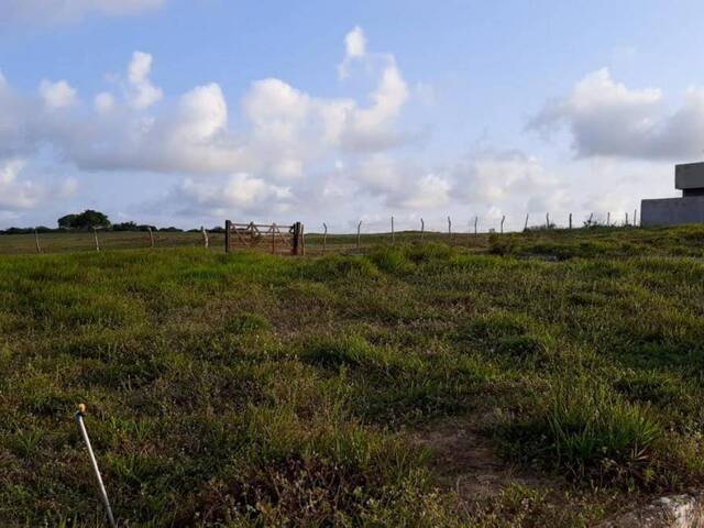 Terreno para Venda em Tibau do Sul - 4