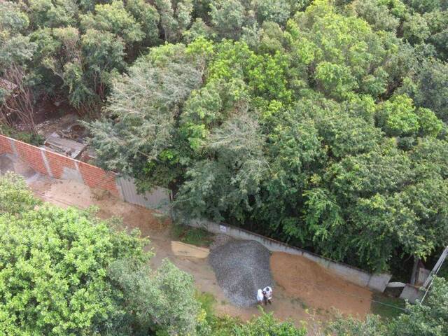 Terreno para Venda em Tibau do Sul - 5