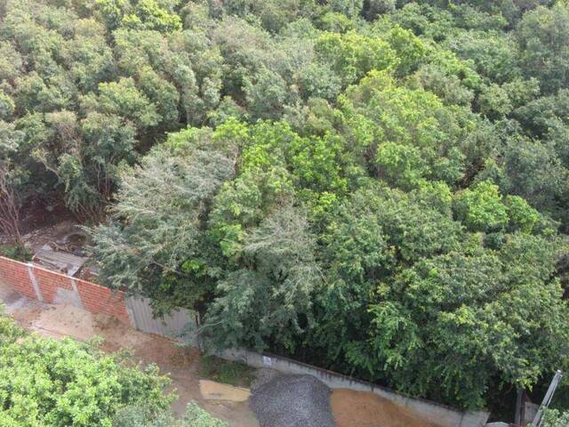 Terreno para Venda em Tibau do Sul - 4