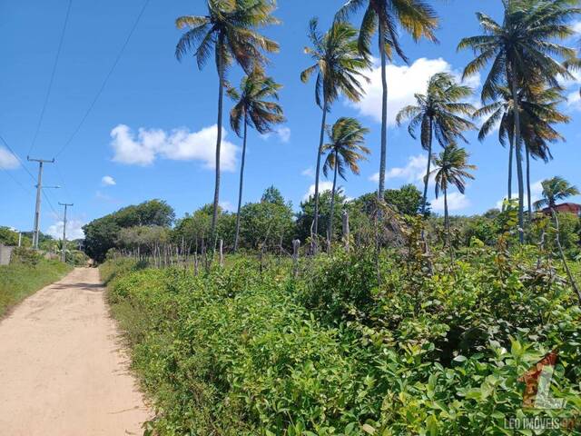 #T-136 - Terreno para Venda em Tibau do Sul - RN