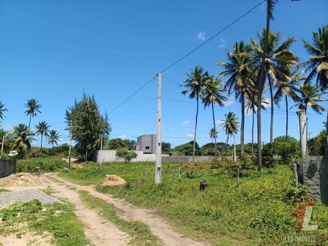 #T-136 - Terreno para Venda em Tibau do Sul - RN