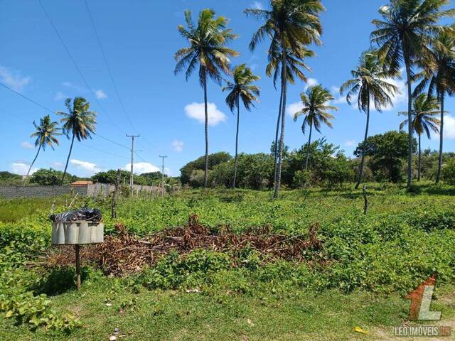 Terreno para Venda em Tibau do Sul - 4