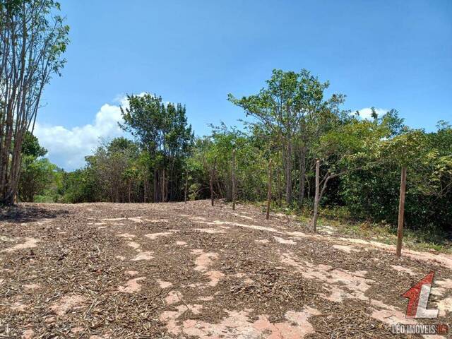 Terreno para Venda em Tibau do Sul - 4