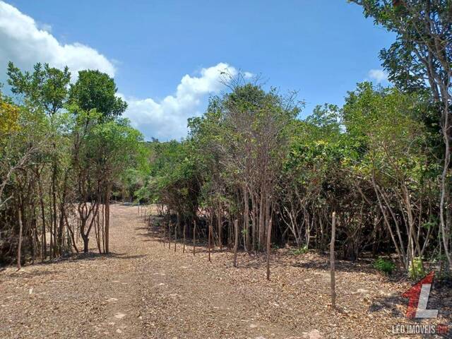 Terreno para Venda em Tibau do Sul - 5