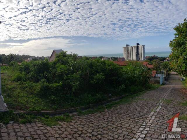 Terreno para Venda em Parnamirim - 5