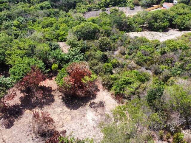 #T-453 - Terreno para Venda em Tibau do Sul - RN