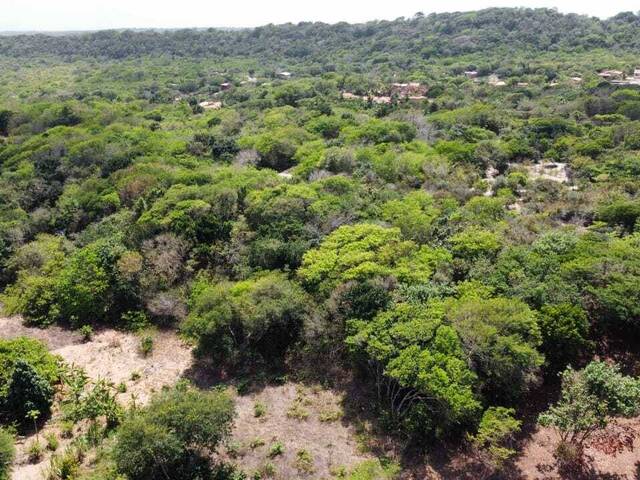 Terreno para Venda em Tibau do Sul - 5