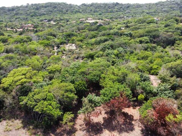 Terreno para Venda em Tibau do Sul - 4