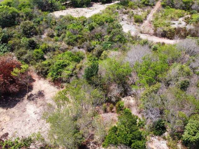 #T-453 - Terreno para Venda em Tibau do Sul - RN