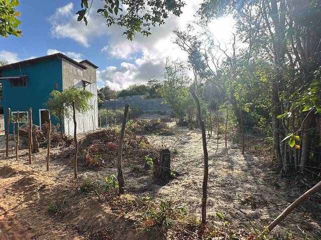#T-454 - Terreno para Venda em Tibau do Sul - RN