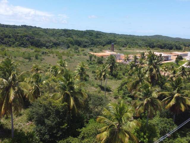 Terreno para Venda em Tibau do Sul - 5