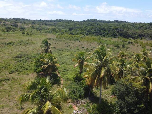 Terreno para Venda em Tibau do Sul - 4