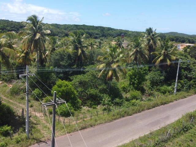 Terreno para Venda em Tibau do Sul - 2