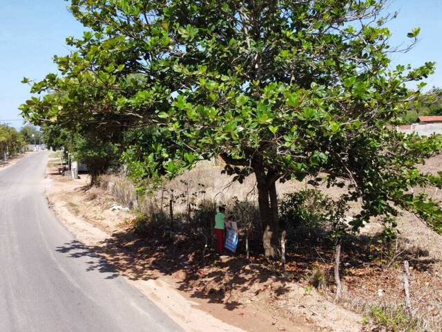 Terreno para Venda em Tibau do Sul - 5