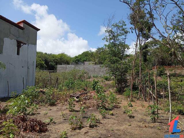 #T-454 - Terreno para Venda em Tibau do Sul - RN