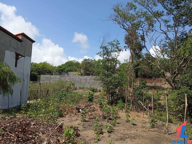 Terreno para Venda em Tibau do Sul - 5