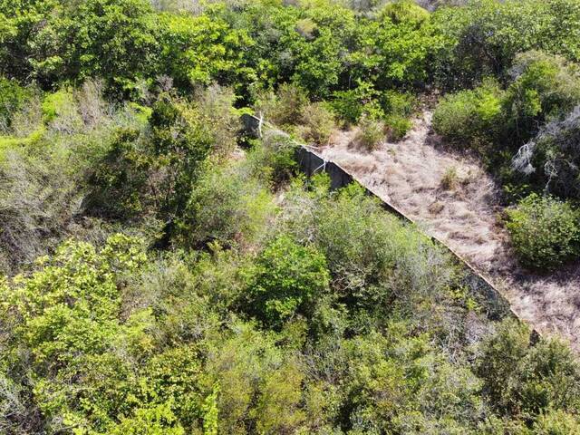 Terreno para Venda em Tibau do Sul - 4