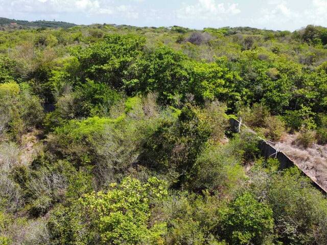 #T-467 - Terreno para Venda em Tibau do Sul - RN