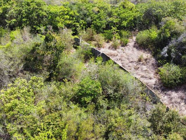 Terreno para Venda em Tibau do Sul - 5