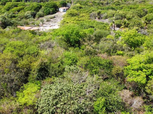 #T-467 - Terreno para Venda em Tibau do Sul - RN