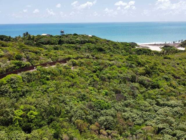 #T-481 - Terreno para Venda em Tibau do Sul - RN