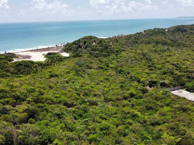 Terreno para Venda em Tibau do Sul - 4