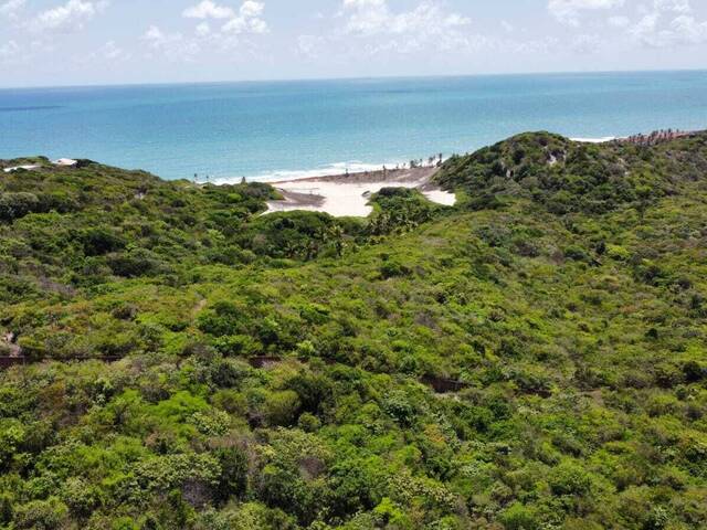 Terreno para Venda em Tibau do Sul - 5