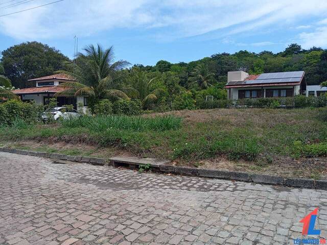 Terreno para Venda em Tibau do Sul - 4