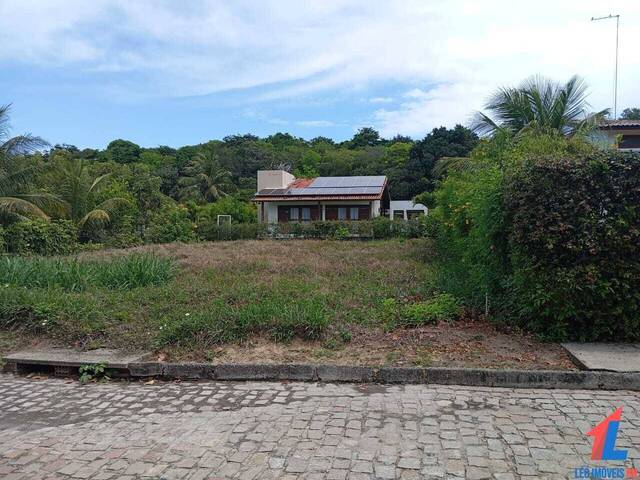 Terreno para Venda em Tibau do Sul - 5