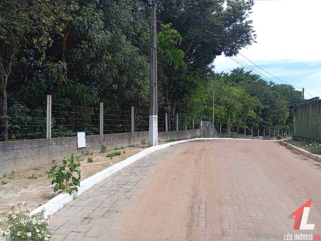 Terreno para Venda em Tibau do Sul - 5