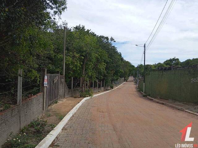 Terreno para Venda em Tibau do Sul - 4