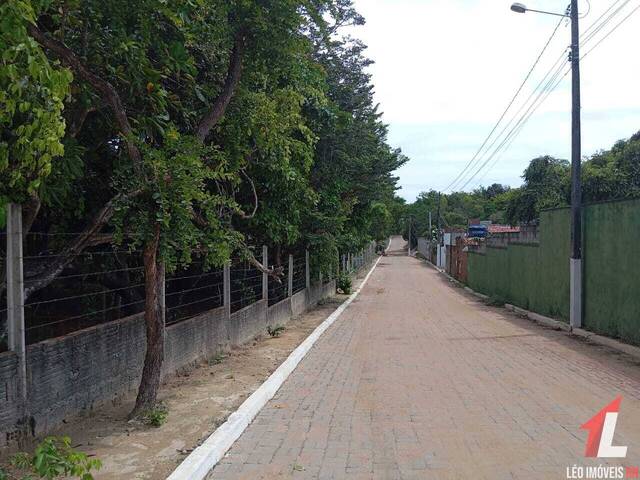 #T-249 - Terreno para Venda em Tibau do Sul - RN