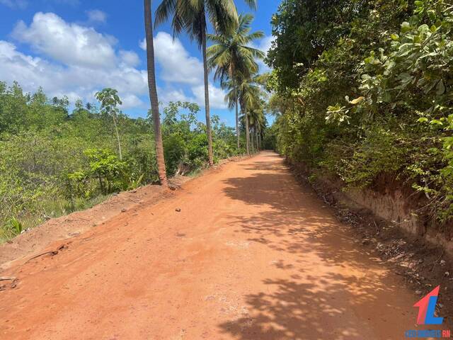 Terreno para Venda em Vila Flor - 5