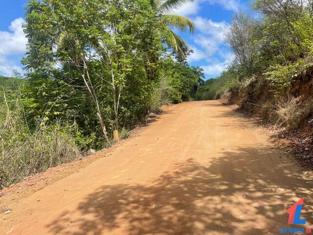 #T-485 - Terreno para Venda em Vila Flor - RN