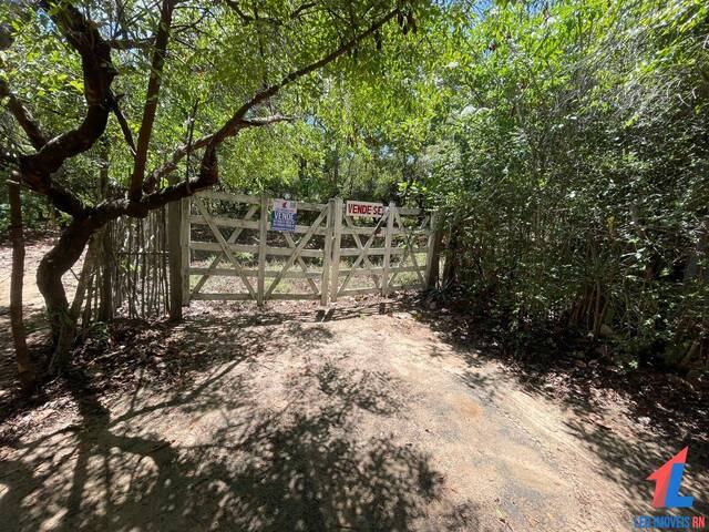 #T-485 - Terreno para Venda em Vila Flor - RN
