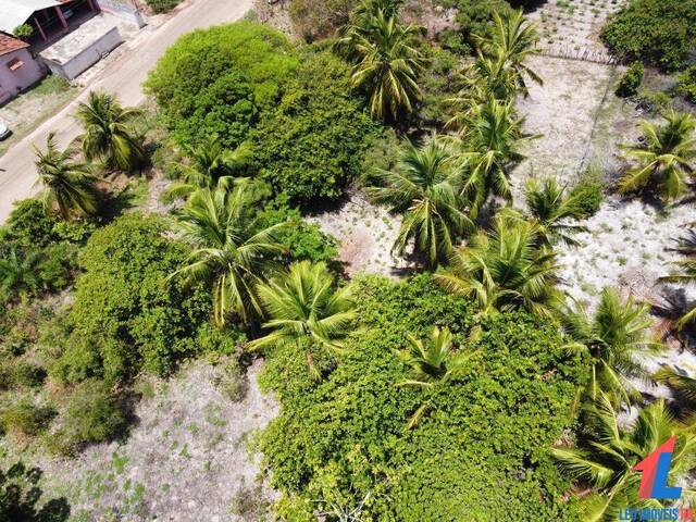 Terreno para Venda em Tibau do Sul - 4