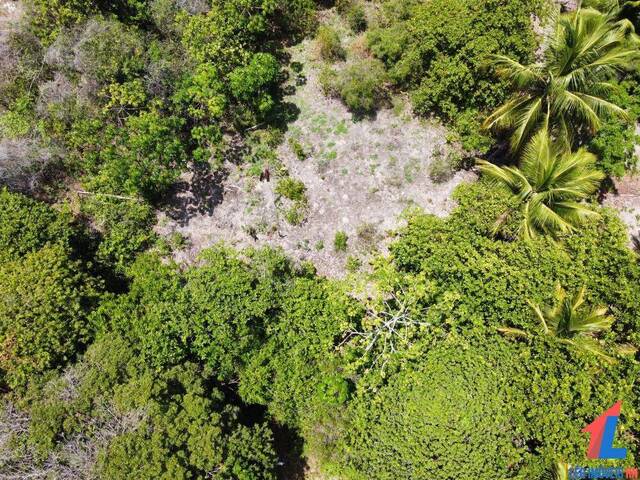 Terreno para Venda em Tibau do Sul - 5