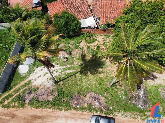 Terreno para Venda em Canguaretama - 4