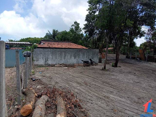 Terreno para Venda em Tibau do Sul - 5