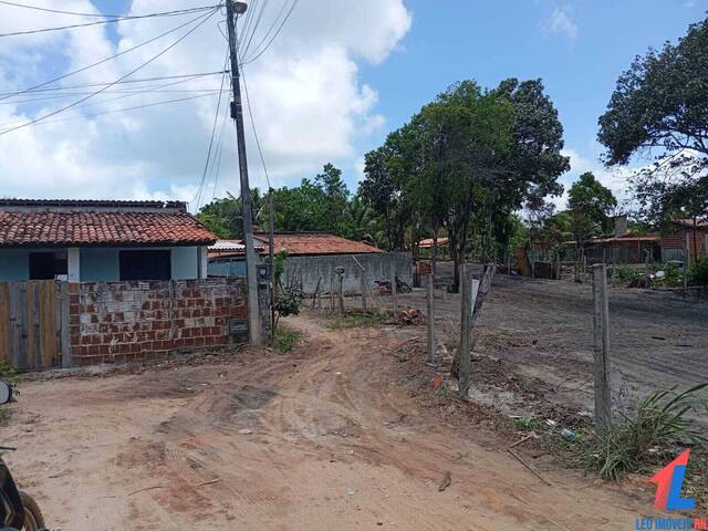 Terreno para Venda em Tibau do Sul - 4