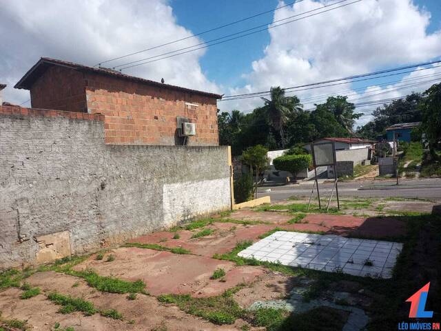 Terreno para Venda em Canguaretama - 5